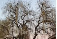 Jobb Mint Otthon Kisvendéglő Szeged