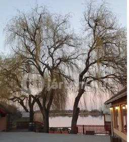 Jobb Mint Otthon Kisvendéglő