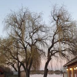 Jobb Mint Otthon Kisvendéglő, Szeged - Egyéb