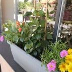 Jókenyér Tököl - Egyéb