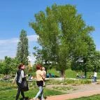 Jónás Craft Beer & Food Budapest - Egyéb