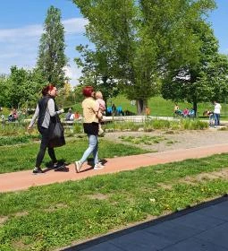 Jónás Craft Beer & Food