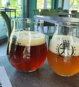 Jónás Craft Beer & Food