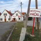 Judit Étterem, Borozó & Panzió Hajós - Egyéb