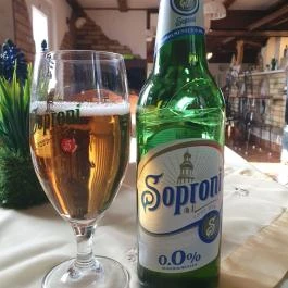 Judit Étterem, Borozó & Panzió, Hajós - Egyéb