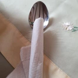 Judit Étterem, Borozó & Panzió, Hajós - Egyéb