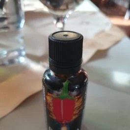 Judit Étterem, Borozó & Panzió, Hajós - Egyéb