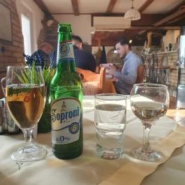 Judit Étterem, Borozó & Panzió, Hajós - Egyéb