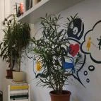 Jurányi Suterene Budapest - Belső