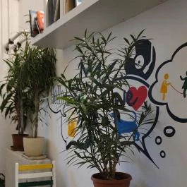 Jurányi Suterene Budapest - Belső