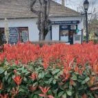 Platz Menü & Lángos, vác Vác - Egyéb