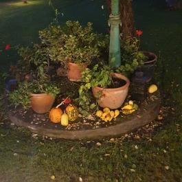 Káli Art Inn étterme Köveskál - Egyéb