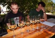 Káli Kövek Borászat Köveskál