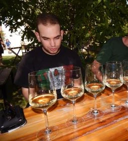 Káli Kövek Borászat