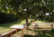 Káli Kövek Borászat Köveskál