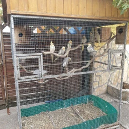 Kalocsáék Malom Vendéglője Cegléd - Egyéb