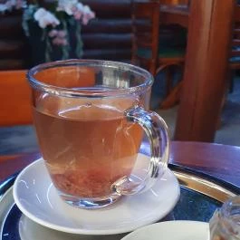 Kalumba Pub Újfehértó - Egyéb