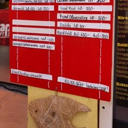 Kánya Zoli halsütője és halfüstölője Balatonszepezd - Egyéb