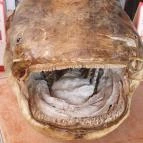 Kánya Zoli halsütője és halfüstölője Balatonszepezd - Egyéb