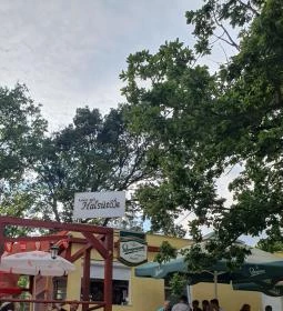 Kánya Zoli halsütője és halfüstölője