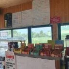 Kanyar Büfé Pákozd - Egyéb