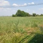 Kanyar Büfé Pákozd - Egyéb