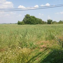 Kanyar Büfé Pákozd - Egyéb