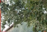 Kanyar Büfé Pákozd