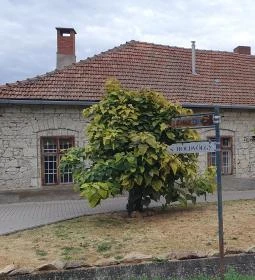 Kardos Supreme BorBistro