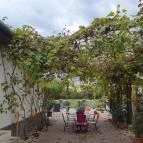 Kardos Supreme BorBistro Mád - Egyéb