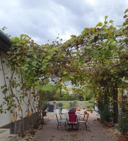 Kardos Supreme BorBistro