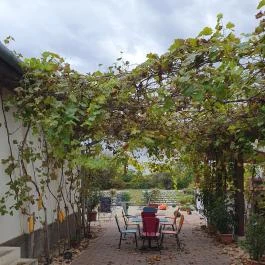 Kardos Supreme BorBistro, Mád - Egyéb