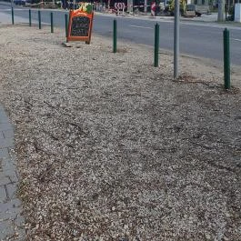 Karl Kávézó Fagylaltozó Dunaharaszti - Egyéb