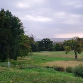 Károlyi-Kastély, Fehérvárcsurgó - Egyéb