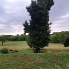 Károlyi-Kastély Fehérvárcsurgó - Egyéb