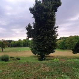 Károlyi-Kastély, Fehérvárcsurgó - Egyéb