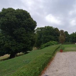 Károlyi-Kastély, Fehérvárcsurgó - Egyéb