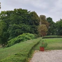 Károlyi-Kastély, Fehérvárcsurgó - Egyéb