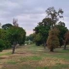 Károlyi-Kastély Fehérvárcsurgó - Egyéb