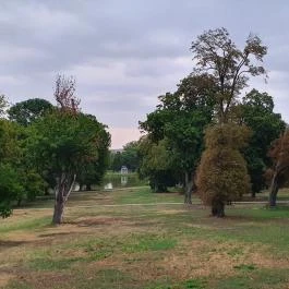 Károlyi-Kastély, Fehérvárcsurgó - Egyéb