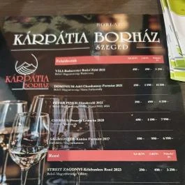 Kárpátia Borház Szeged - Egyéb