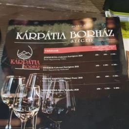 Kárpátia Borház Szeged - Egyéb