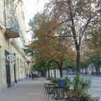 Kárpátia Borház Debrecen - Egyéb