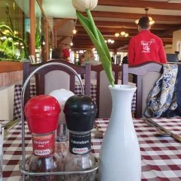 Kastélykert Fogadó Étterme Szeged - Egyéb
