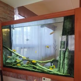 Kastélykert Fogadó Étterme Szeged - Egyéb