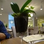 Katedrális Étterem & Kávézó Szeged - Belső