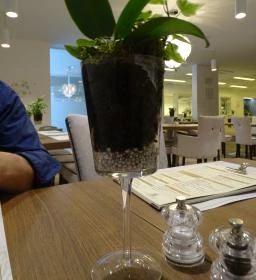 Katedrális Étterem & Kávézó