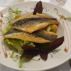 Katedrális Étterem & Kávézó Szeged - Egyéb