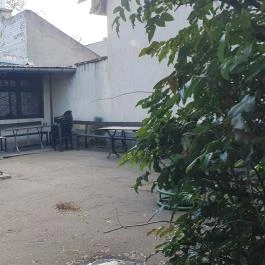 Katica Borozó, Budapest - Egyéb