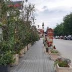 Katica Pékség Balatonkenese - Egyéb